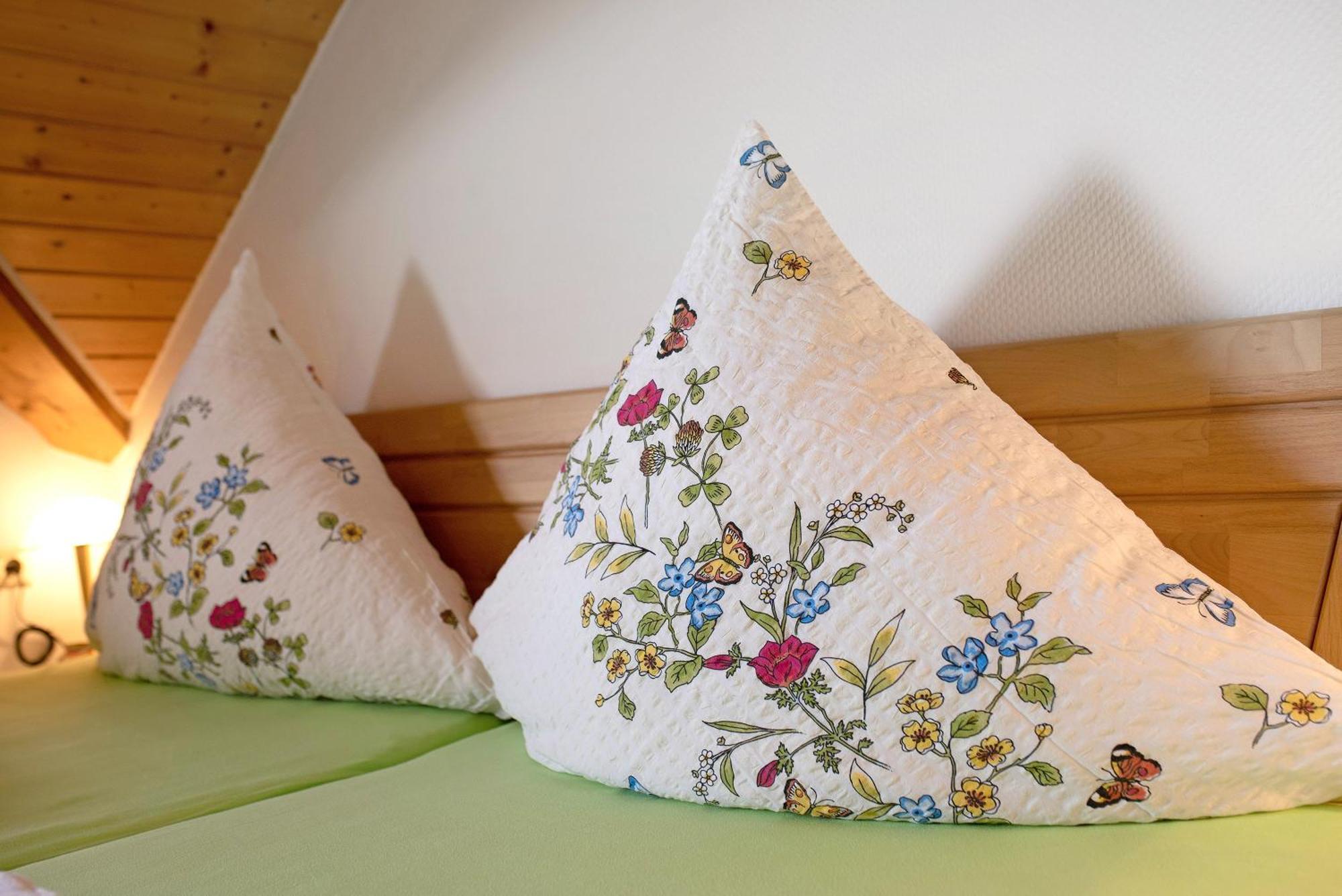 Ferienwohnung Blasi Mit Alpensicht Ibach ภายนอก รูปภาพ
