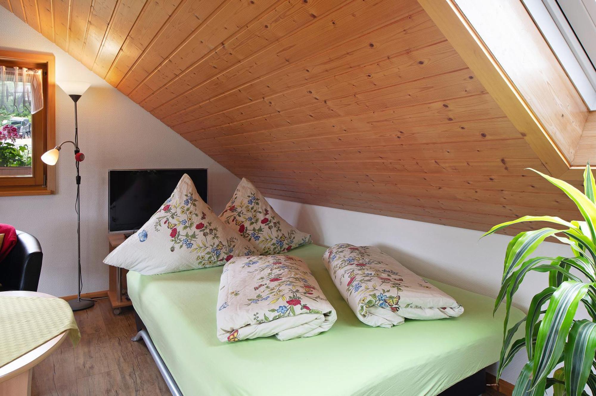 Ferienwohnung Blasi Mit Alpensicht Ibach ภายนอก รูปภาพ