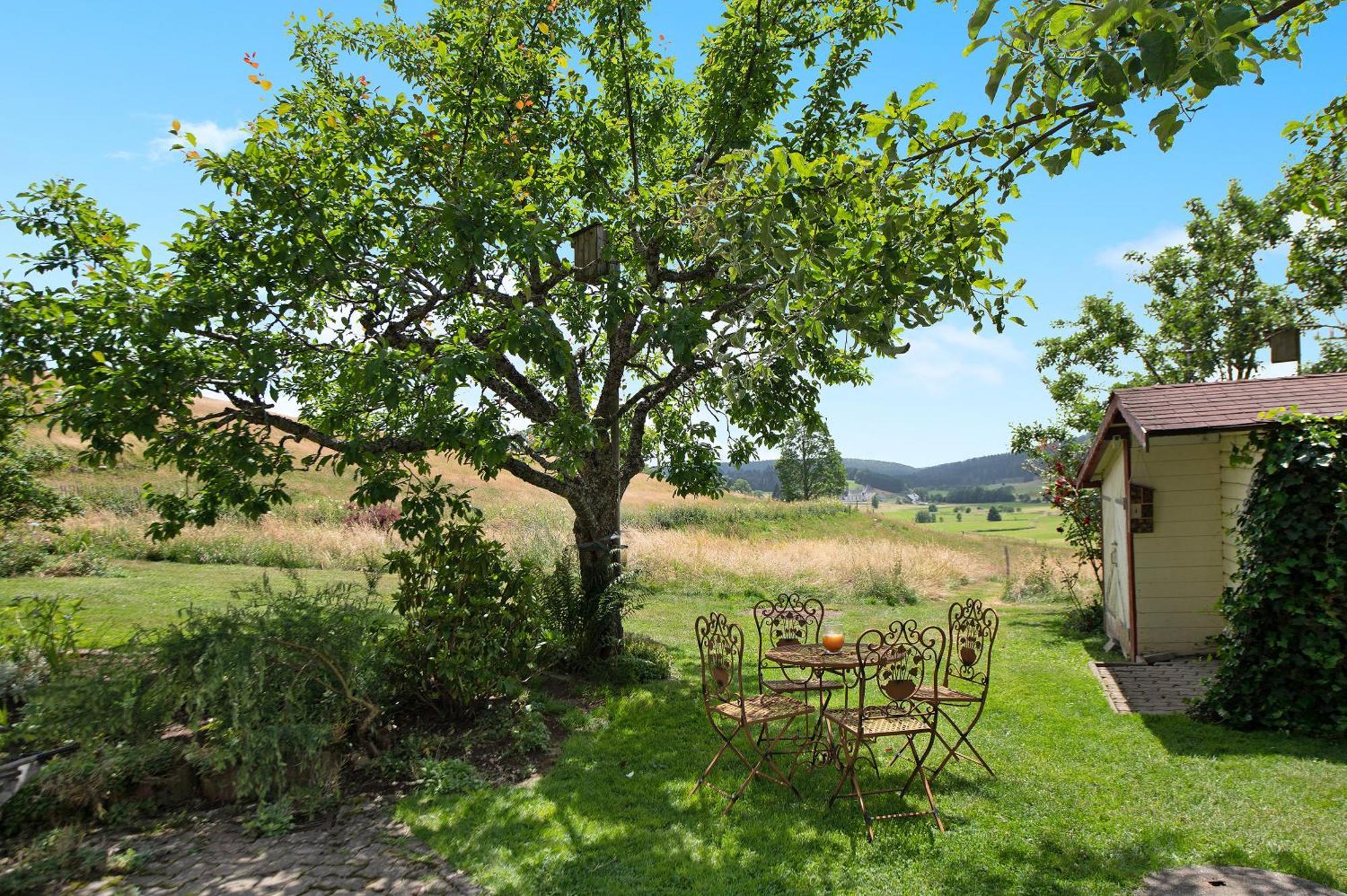 Ferienwohnung Blasi Mit Alpensicht Ibach ภายนอก รูปภาพ